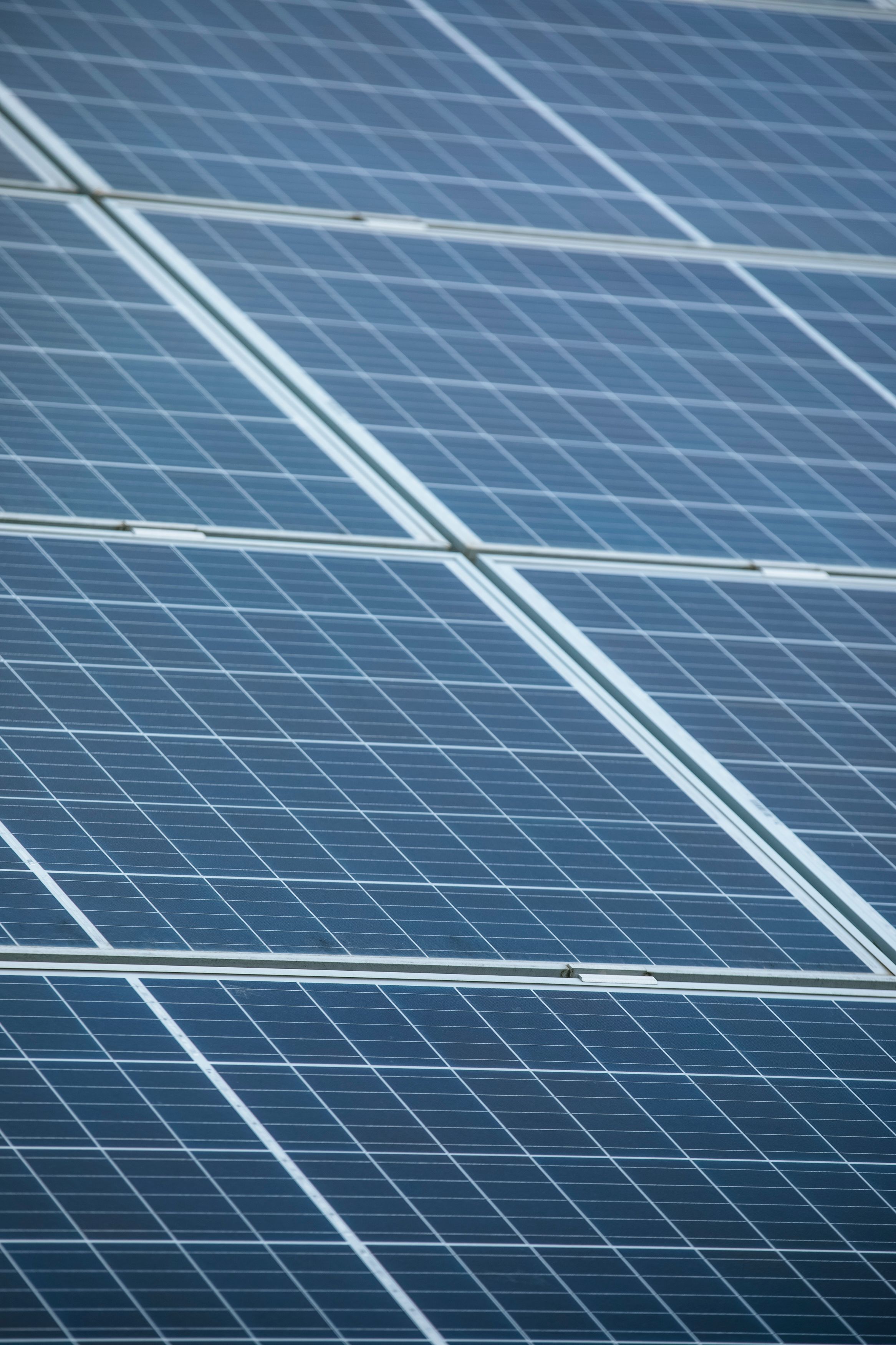 ECO RENEWABLE