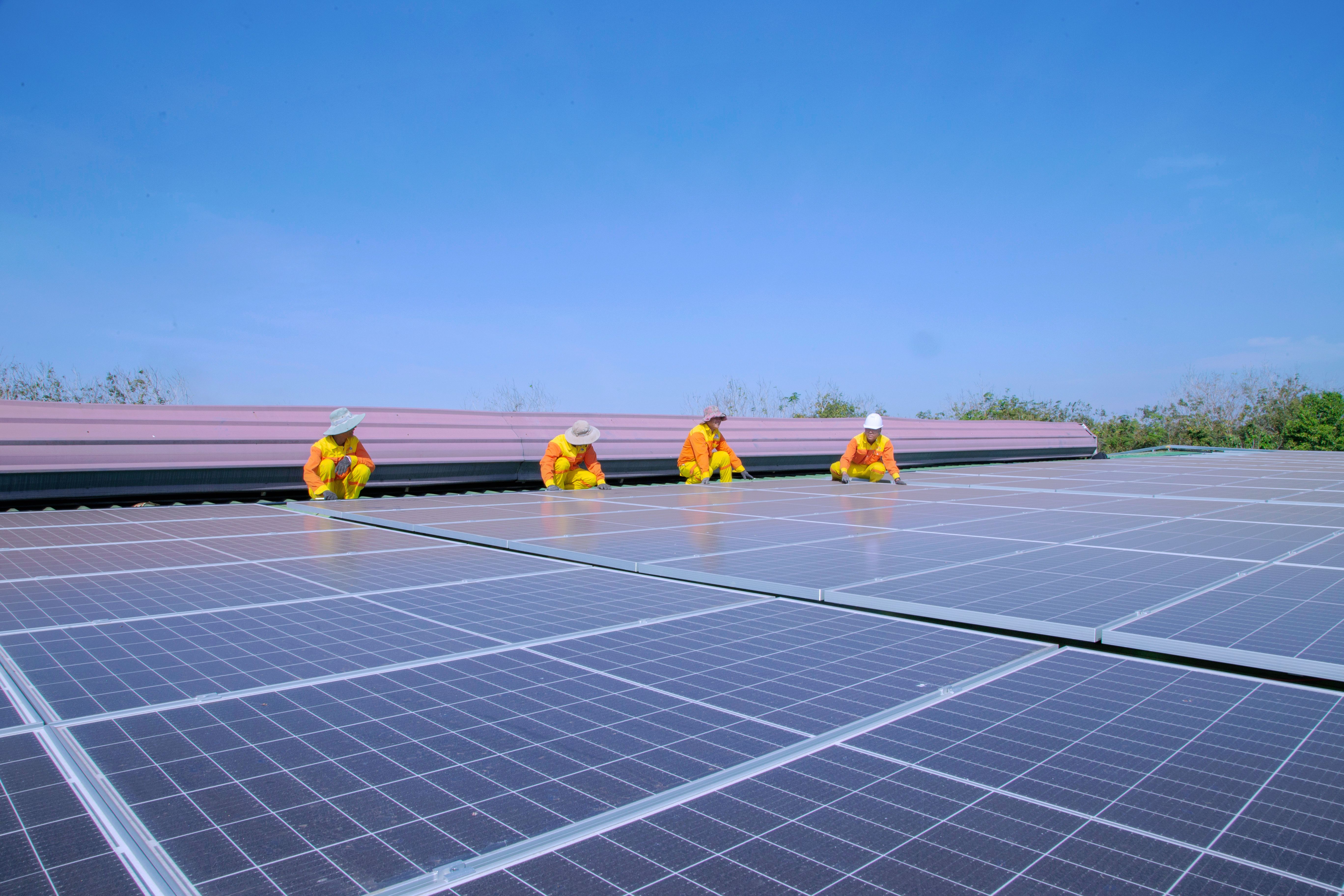 ECO RENEWABLE