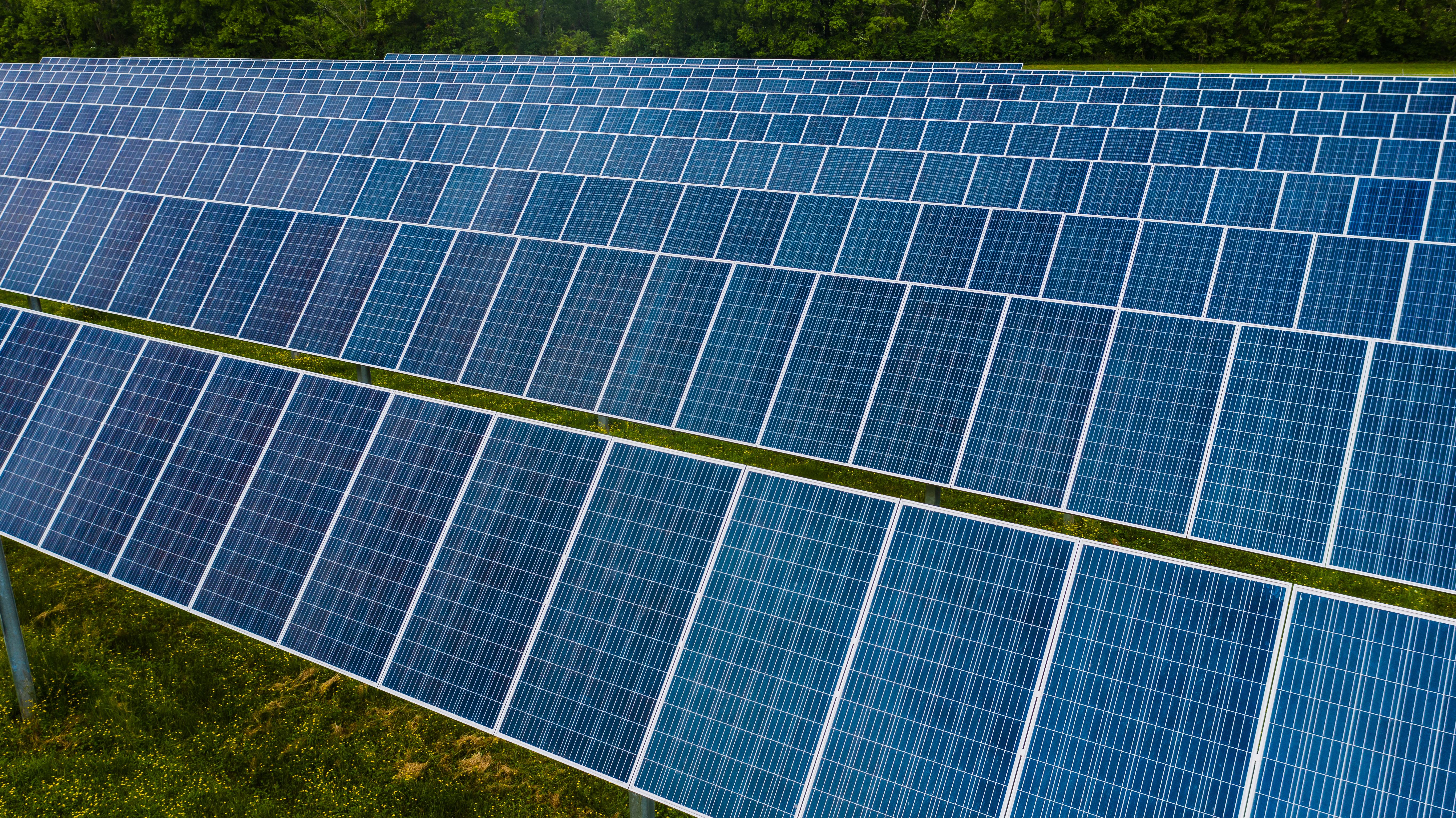 ECO RENEWABLE